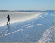 Rockypoint Beach Combing
